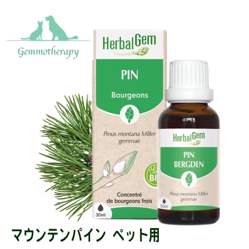 �����⥻��ԡ� �ޥ���ƥ�ѥ��� �ڥå��� 30ml ��������ǥ� ���󥰥� �ϡ��Х� ���ץ���� ǭ�� ���� ��󥿥ʥޥ� BIO Pine Mountain PIN DES MONTAGNES