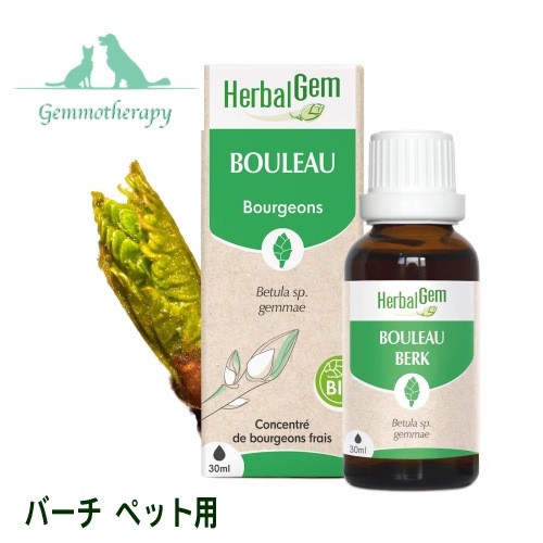 ジェモセラピー バーチ ペット用 30ml ジェムレメディ シングル ハーバル サプリメント 猫用 犬用 シラカバ BIO Birch BOULEAU