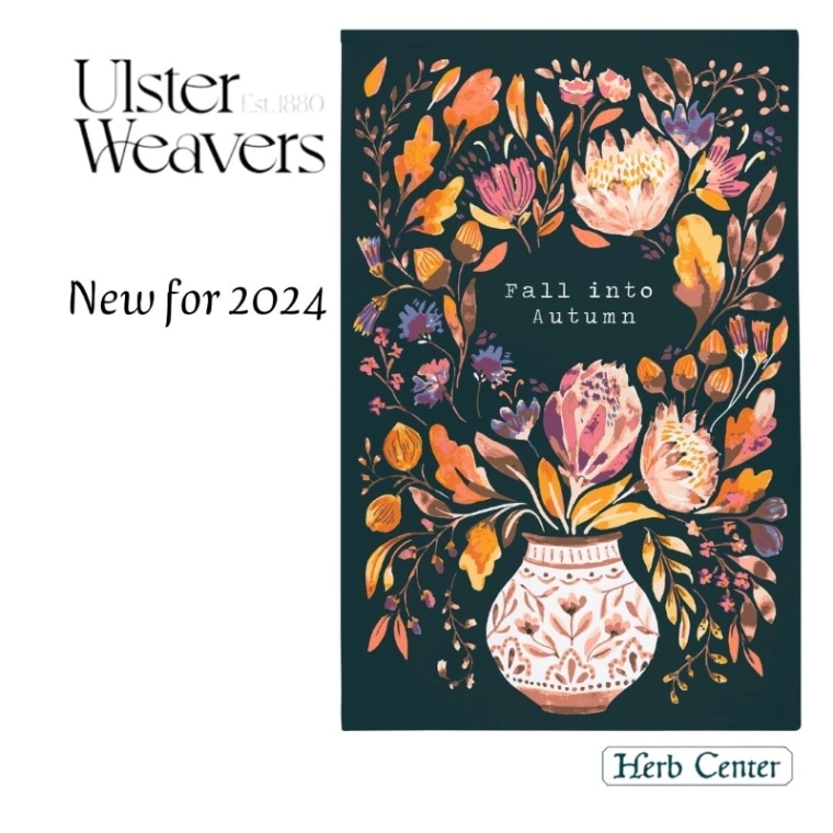 ���륹�����������С��� Fall Into Autumn �ե����� �������� �� ���åȥ�ƥ���������