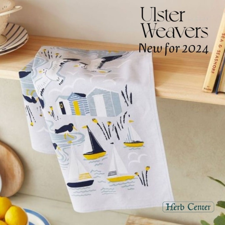 ���륹�����������С��� Seashore �������祢 ���åȥ�ƥ���������