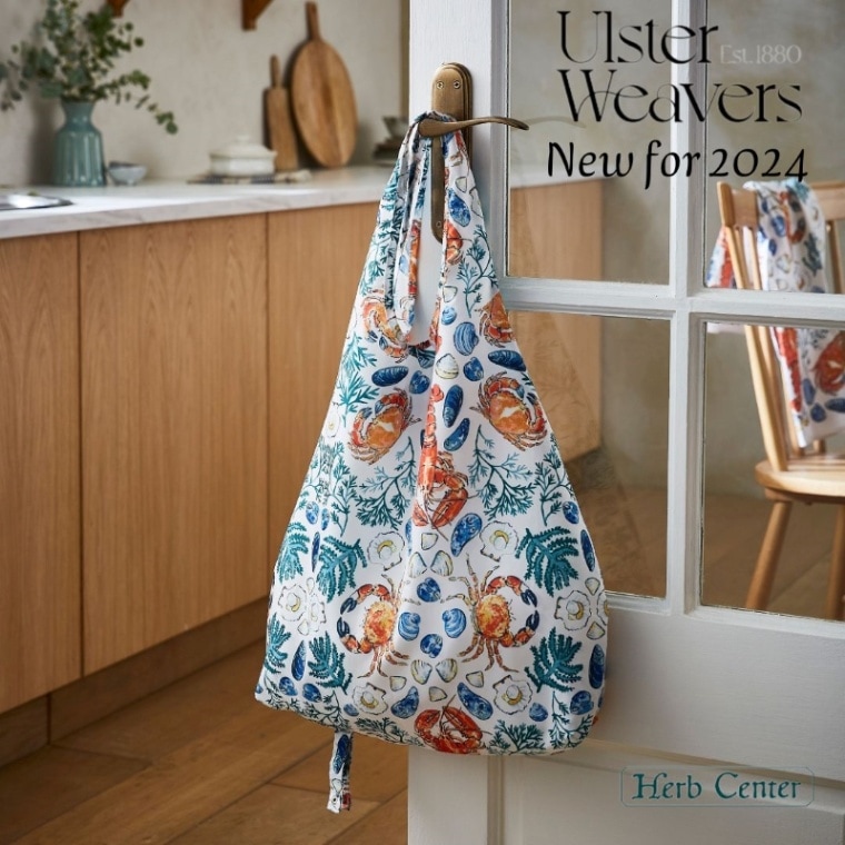 ���륹�����������С��� Shellfish ������ե����� �����륢�åץХå� �����Хå�