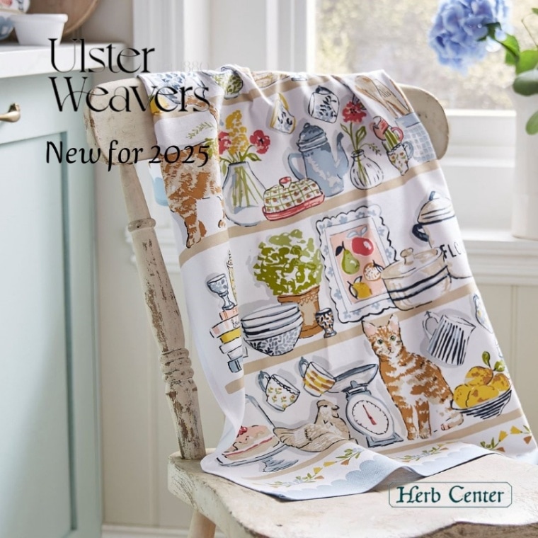 ���륹�����������С��� ���åȥ�ƥ��������� Pantry Cats �ѥ�ȥ꡼����å�