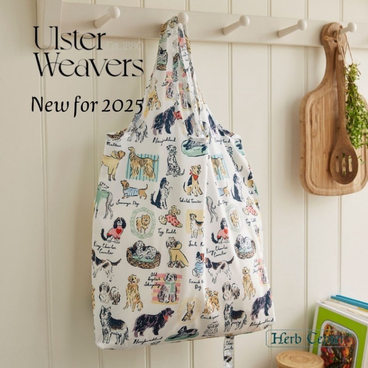 2025 NEWǥ󥢥륹С 륢åץХå Хå Best In Show ٥  硼 