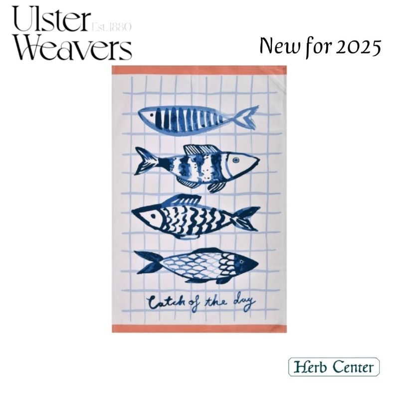 2025 NEW�ǥ����󥢥륹�����������С��� ���åȥ�ƥ���������Catch Of The Day ����å� ���� �� �ǥ�