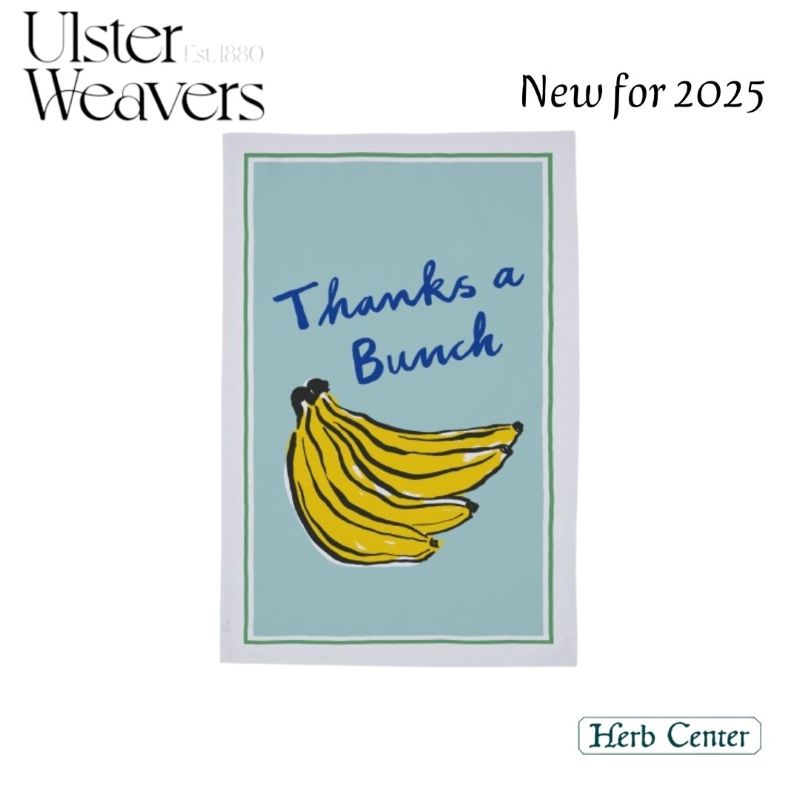 2025 NEW�ǥ����󥢥륹�����������С��� ���åȥ�ƥ���������Thanks a Bunch ���󥯥� �� �Х��