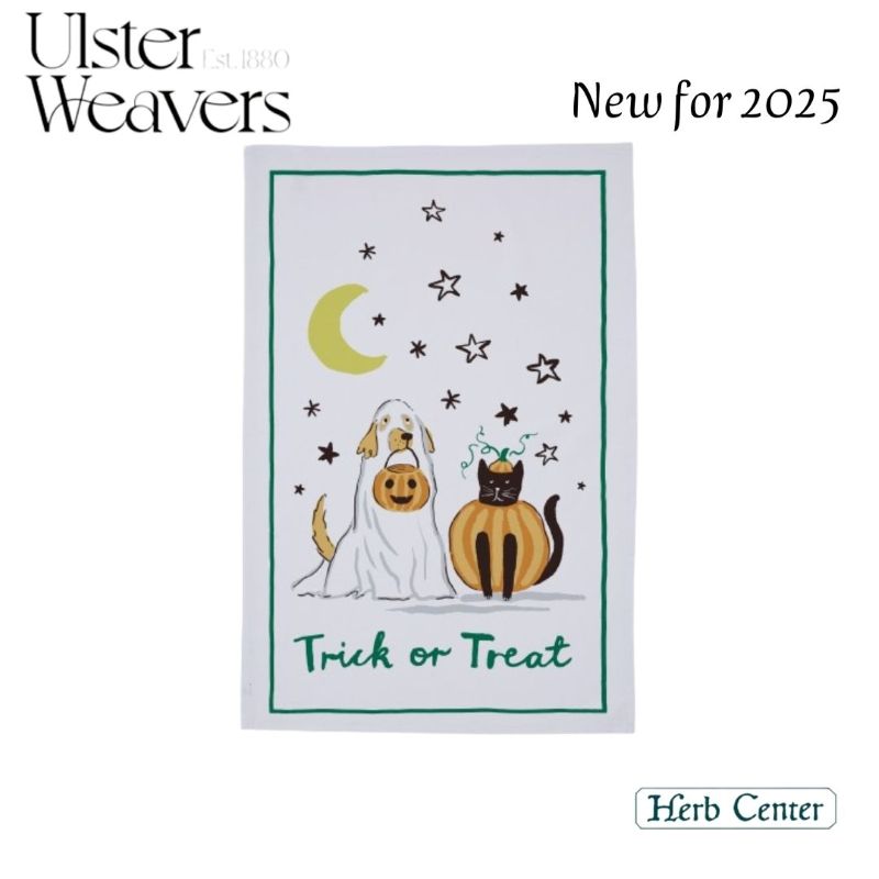 2025 NEW�ǥ����󥢥륹�����������С��� ���åȥ�ƥ���������Trick or Treat �ȥ�å� ���� �ȥ꡼��