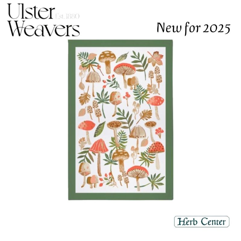 2025 NEW�ǥ����󥢥륹�����������С��� ���åȥ�ƥ���������Mushrooms �ޥå���롼��