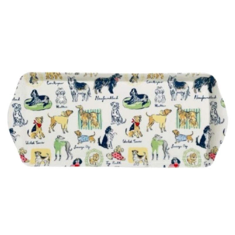 륹С ⡼ ȥ쥤 ٥  硼 ߥ ȥ쥤 ܤ ߥ դ