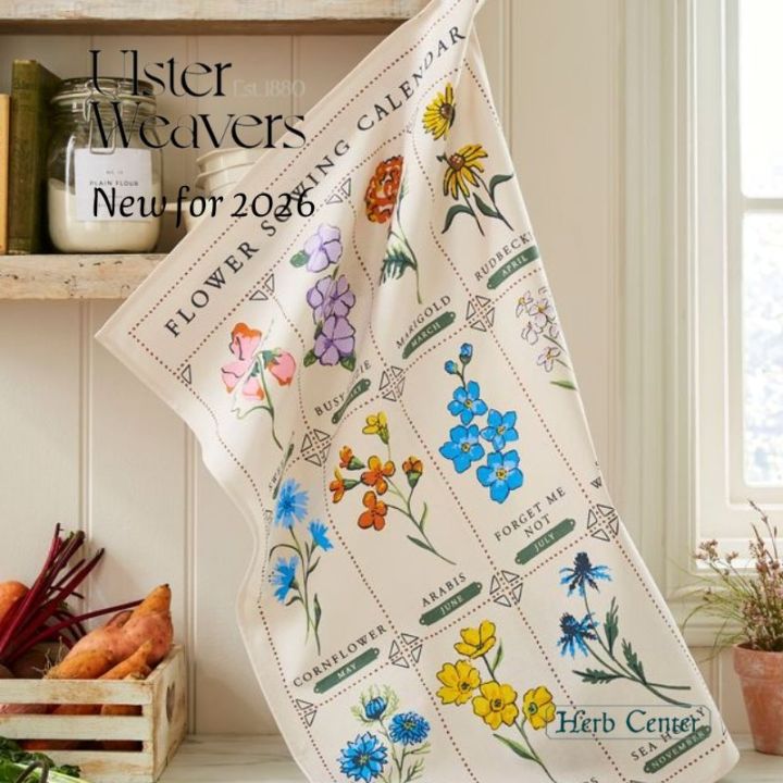 ���륹�����������С��� ���åȥ�ƥ���������  Time to Grow Flowers �����ࡦ�ȥ������������ե��� �֤���Ļ���
