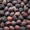 �������˥å��ϡ��� �ۡ����� �٥꡼ 100g �ϡ��֥ƥ��� �ɥ饤�ϡ���