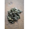 �������˥å��ϡ��� �饺�٥꡼�꡼�� 100g �ϡ��֥ƥ��� �ɥ饤�ϡ��� �ե��ܥ��