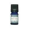 New �ۡ��꡼�Х��� ���� 5ml �ͥѡ��뻺 �ϡ��֥��󥿡� �ȥ��륷��������
