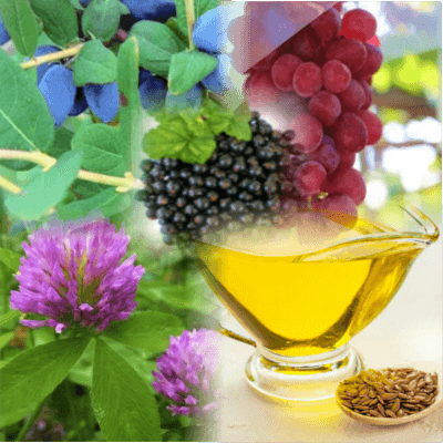 リリーブ| 生理用品のお伴サプリメント＊販売終了