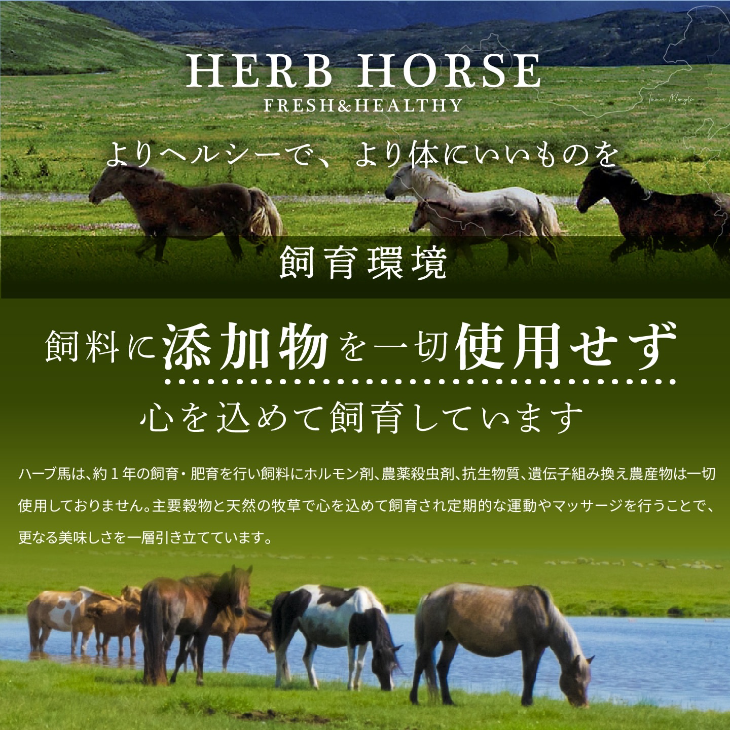 【会員様限定】馬刺し0円！？｜馬刺し・馬肉通販専門店｜お取り寄せ馬刺し通販