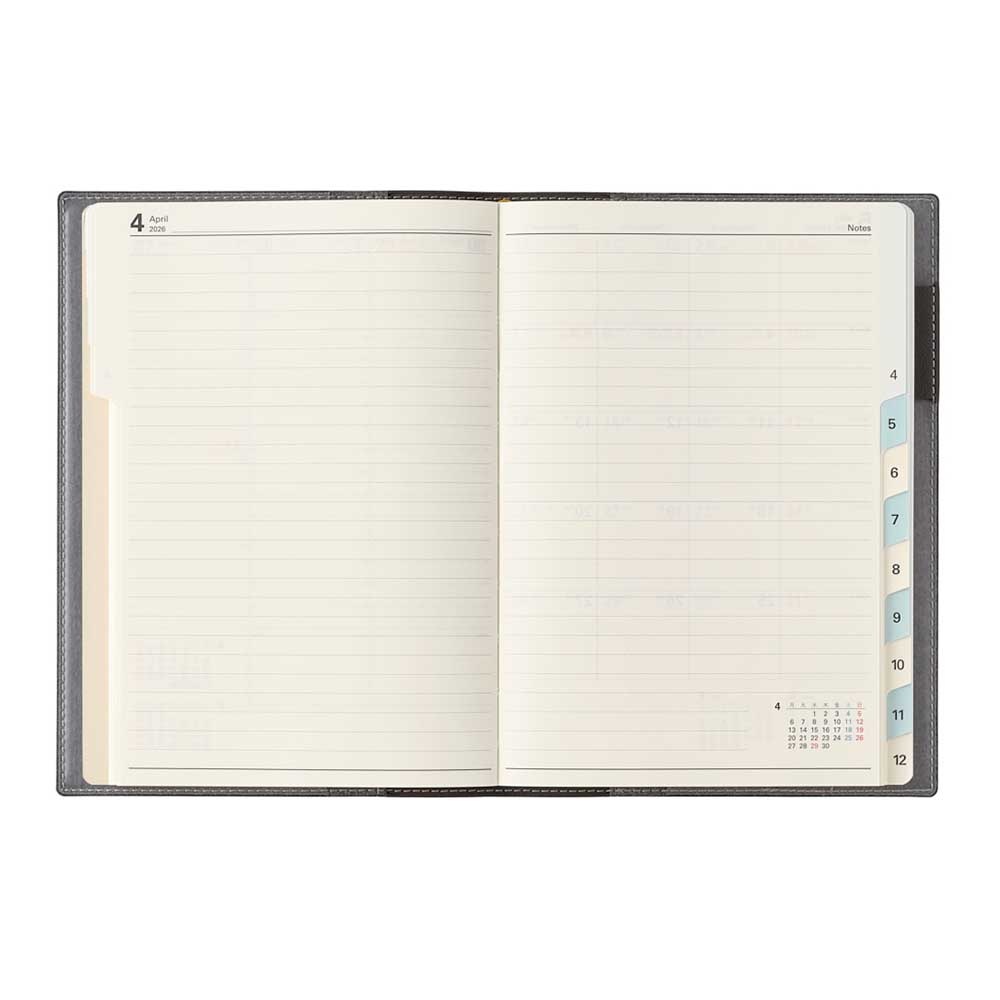 2026ǯ1��Ϥޤ��Ģ ���������꡼ NOLTY(�Υ�ƥ�) ������£��С������룱(���������졼,����ǥ����֥롼)[2044,2045][M�� 14/26]