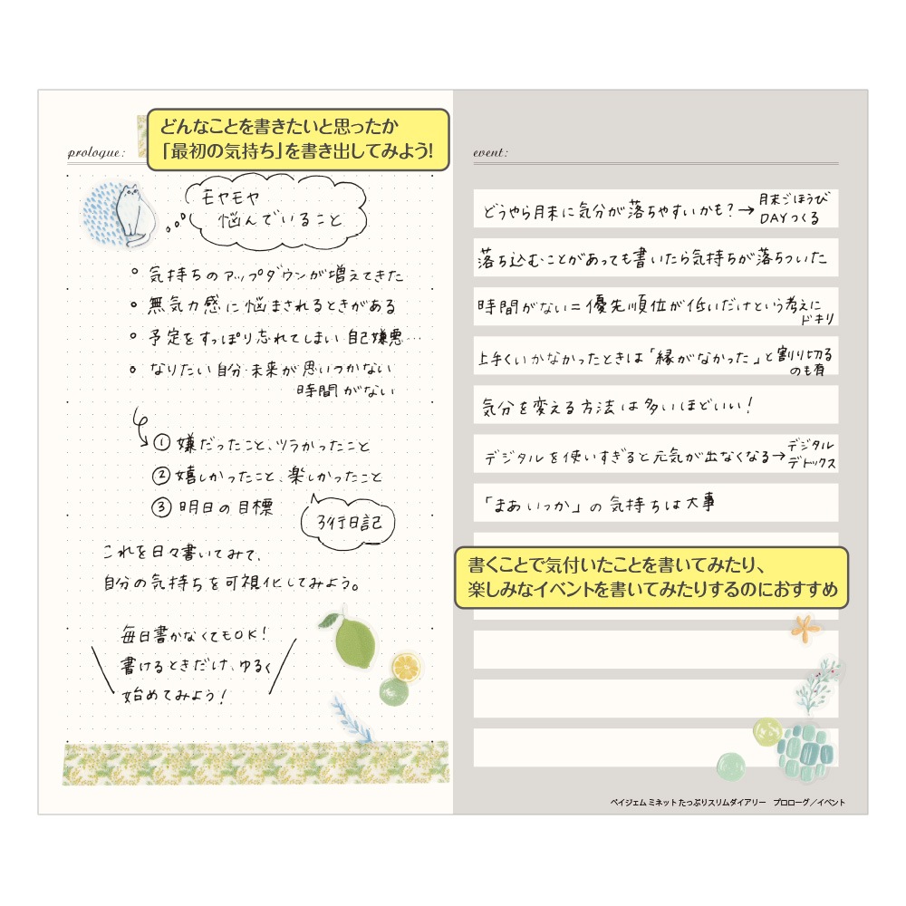 ���դʤ�����Ģ PAGEM by NOLTY �ڥ�������ߥͥåȤ��äפꥹ���������꡼(�饤��å�,�����꡼�ԥ�)[8640,8641] [M�� 6/26]