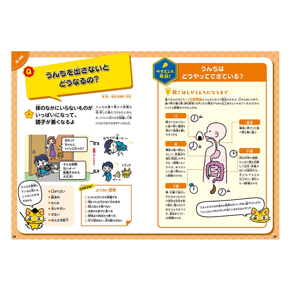 NOLTY���å�����֥å����������󥹤�Ǽ���������ΤΤ��󤭽���[TN005][M�� 6/26]