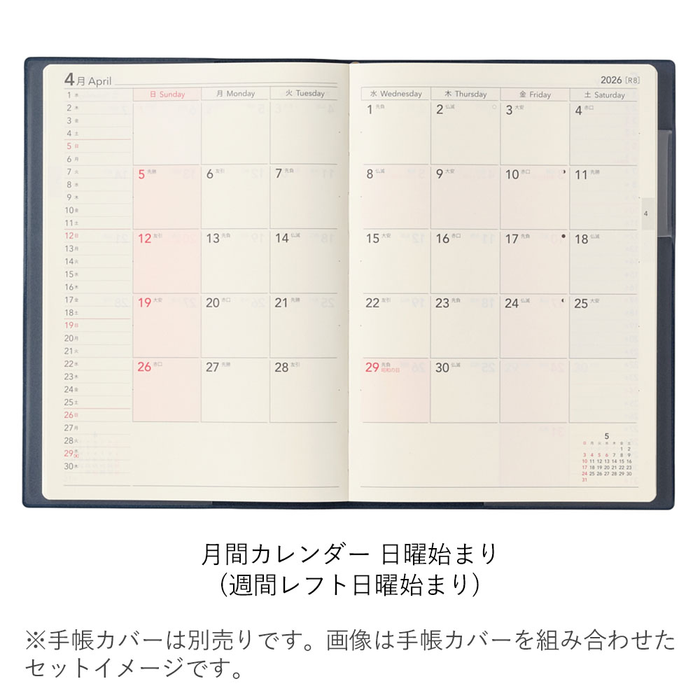 �ڸ������θ����2027ǯ1��Ϥޤ��Ģ ���������꡼ NOLTY(�Υ�ƥ�) ������B6������(��եȷ��˻Ϥޤ�,��ե����˻Ϥޤ�,�С�������,���)[EC2261,EC2272,EC2313,EC2281][M�� 9/26]