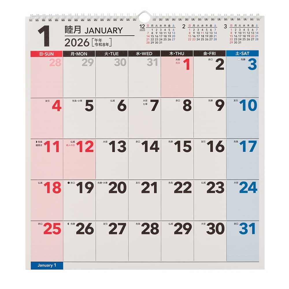 本日出品予定 2026年1月始まり NOLTY(ノルティ) カレンダー壁掛（B3変型
