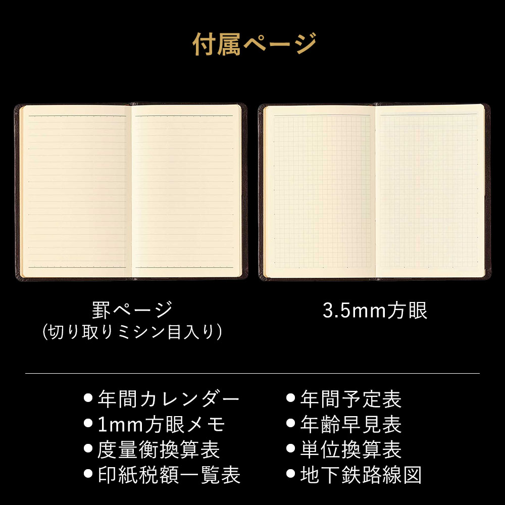 2026ǯ1��Ϥޤ��Ģ ���������꡼ NOLTY(�Υ�ƥ�) ǽΨ��Ģ�������(��)[3121][M�� 20/26]