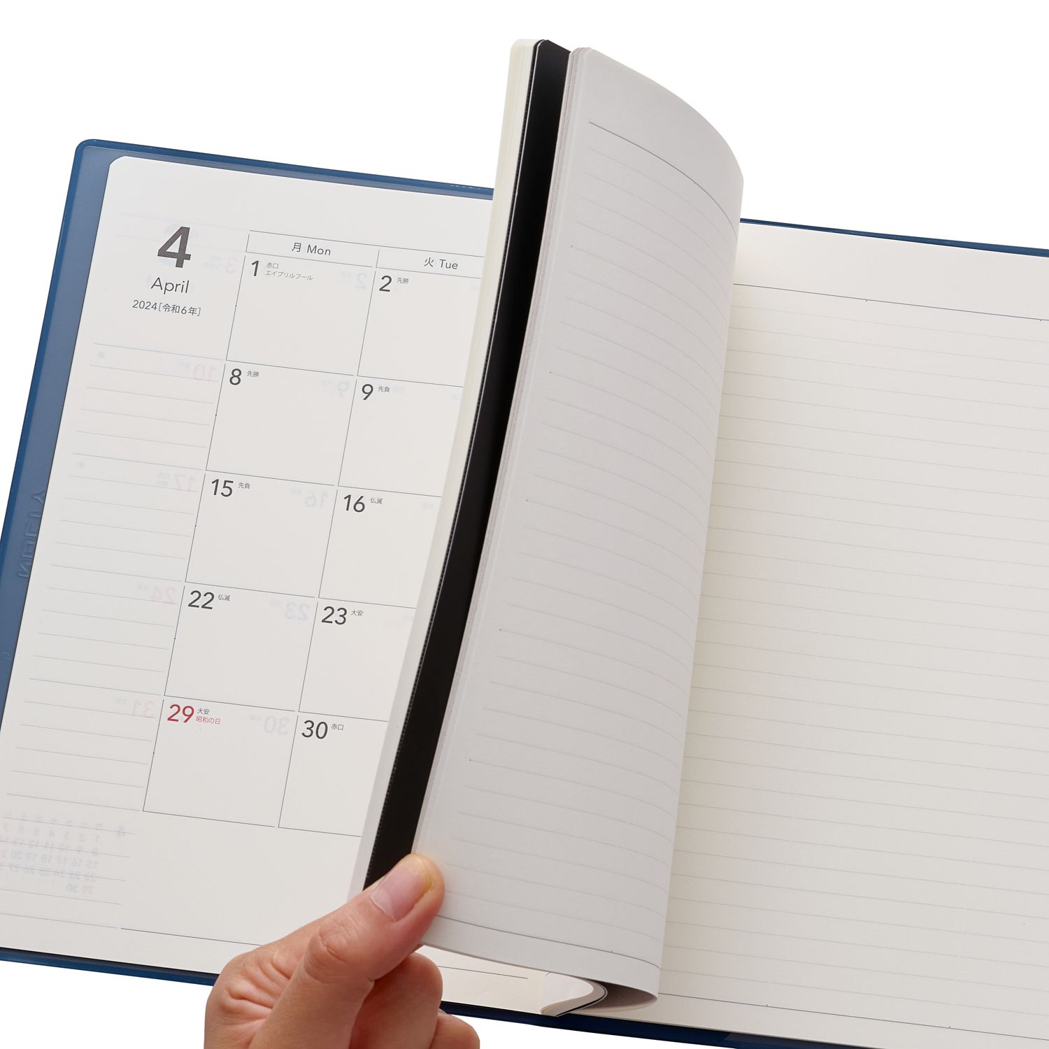 NOLTY(�Υ�ƥ�) �ƥ����������С����֥å����å�(�֥�å�,�ͥ��ӡ�,��������,���꡼��,�ԥ�,�Х�����å�)[8708,8709,8710,8711,8712,8713] [M�� 3/26]