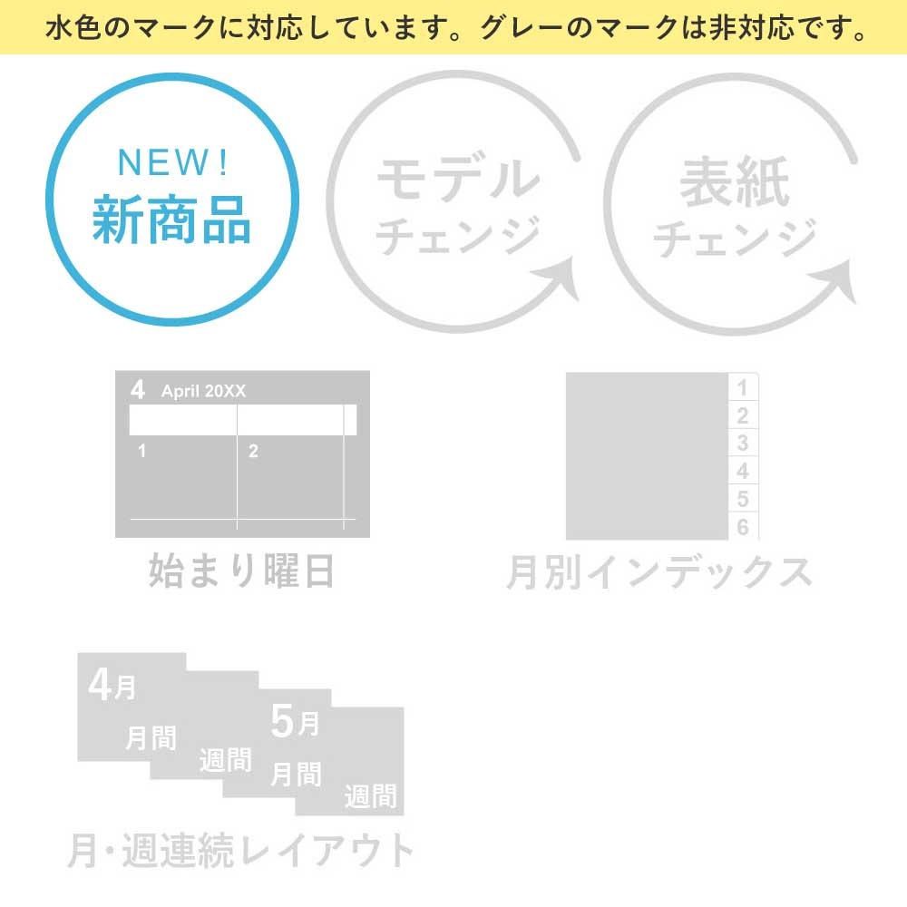 NOLTY(�Υ�ƥ�) �佼�Ρ��ȣ�������ȥ��㡼�ȥ�����(���졼)[8944] [M�� 4/26]