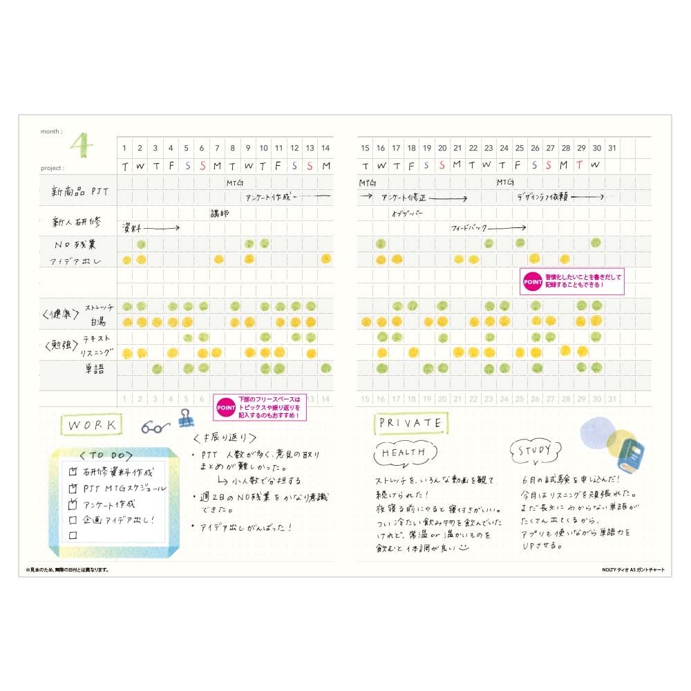 NOLTY(�Υ�ƥ�) �佼�Ρ��ȣ�������ȥ��㡼�ȥ�����(���졼)[8944] [M�� 4/26]