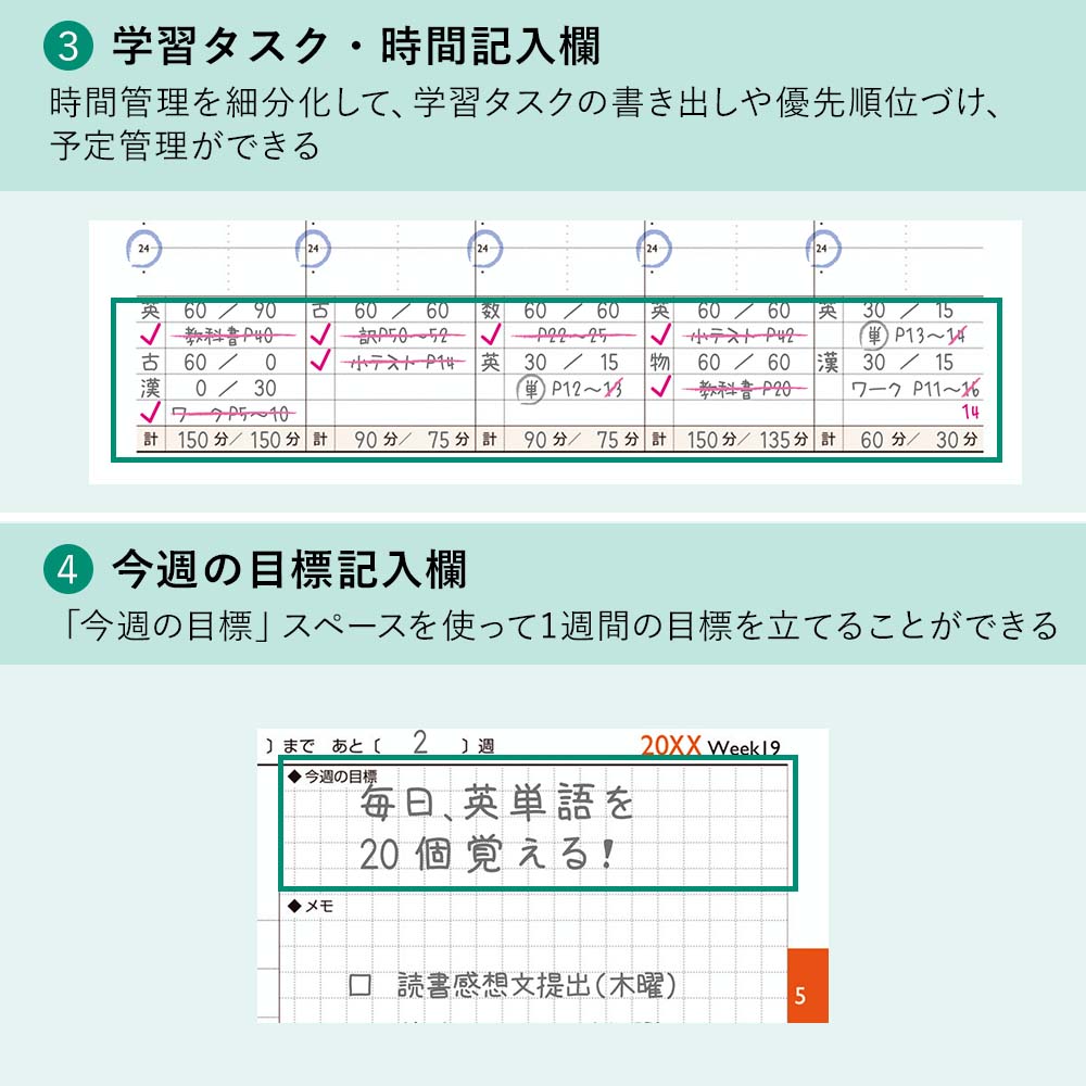 2026ǯ4��Ϥޤ� ���������꡼��Ģ NOLTY�ʥΥ�ƥ��� ������١����å�(�����ܥ꡼)[9210][M�� 9/26]