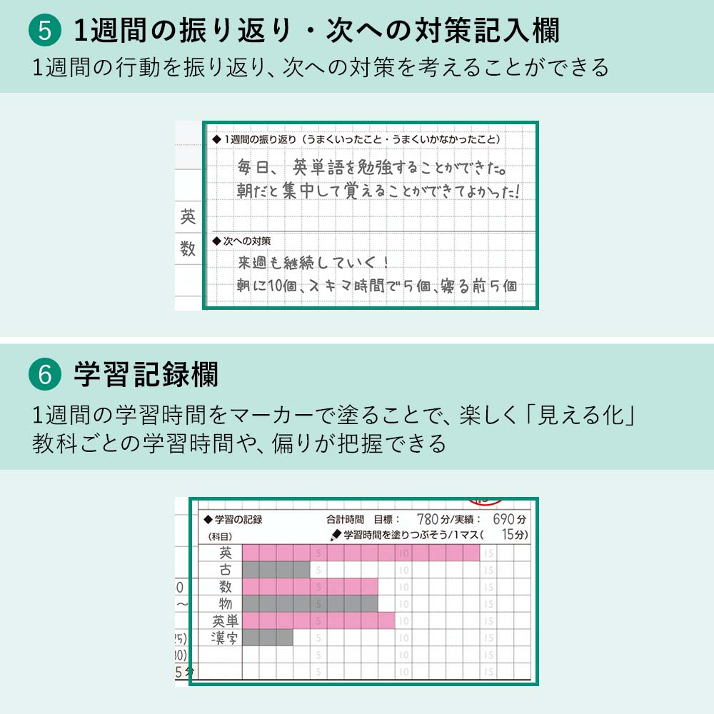 2026ǯ4��Ϥޤ� ���������꡼��Ģ NOLTY�ʥΥ�ƥ��� ������١����å�(�����ܥ꡼)[9210][M�� 9/26]