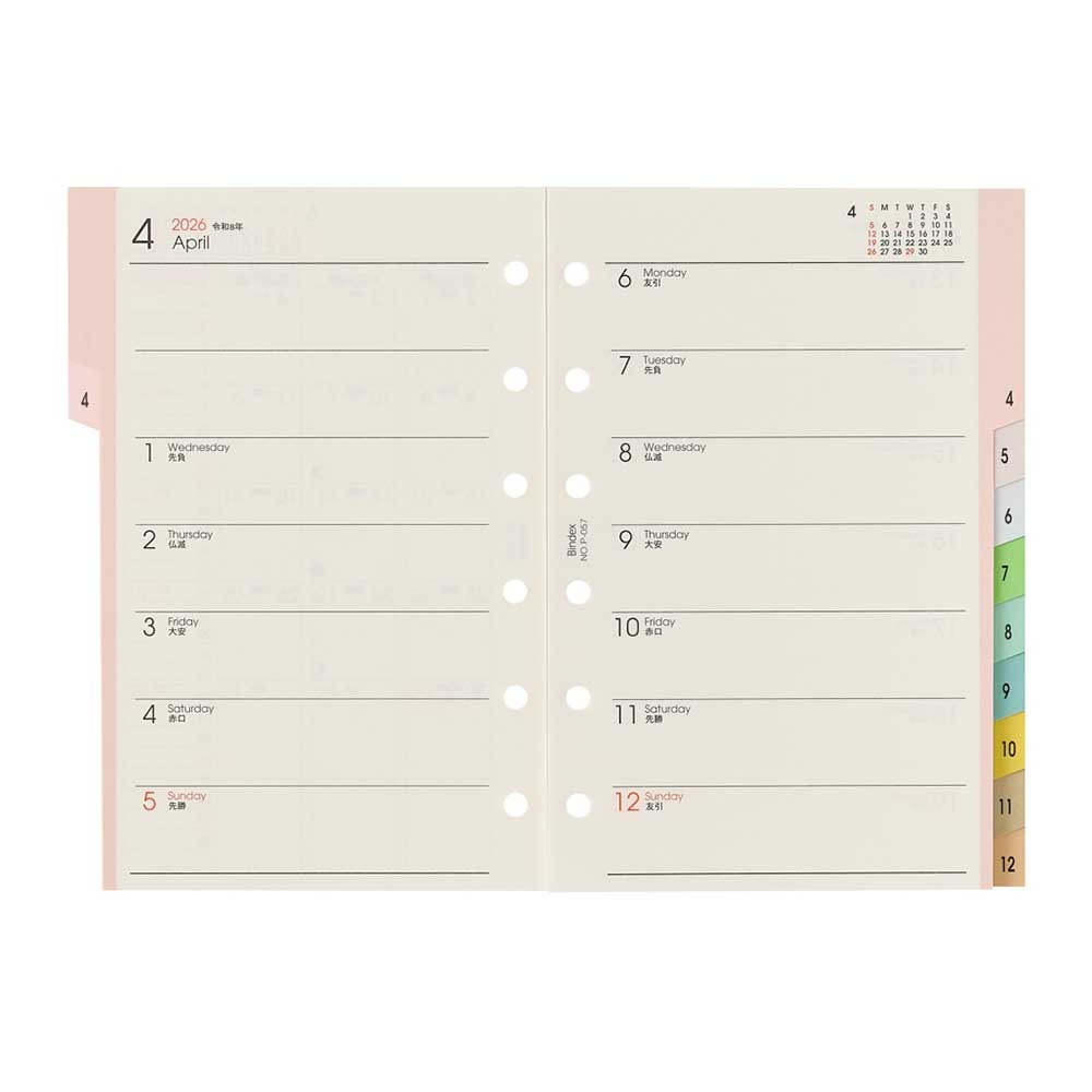 繋　(繁忙期中コメント返信遅れる場合あり コンパクト法螺貝　赤紐極小セット 1_000000004900.jpg?1756202652