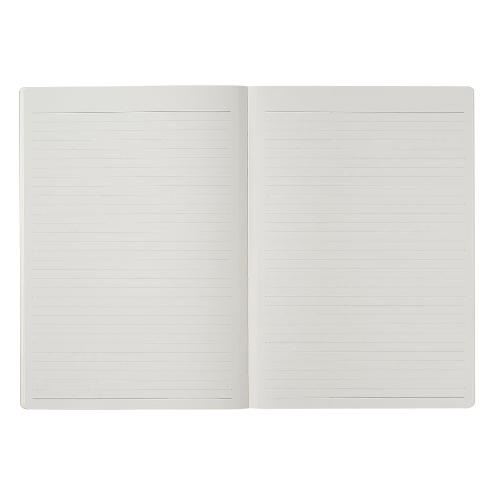 NOLTY Ρ  饤å A5  6.0mm ʥʥȥ֥å,饤ۥ磻,ɥԥ,١,ȥ쥤ȥ֥롼[NTL1311,NTL1312,NTL1313,NTL1314,NTL1315][M 9/26]UN