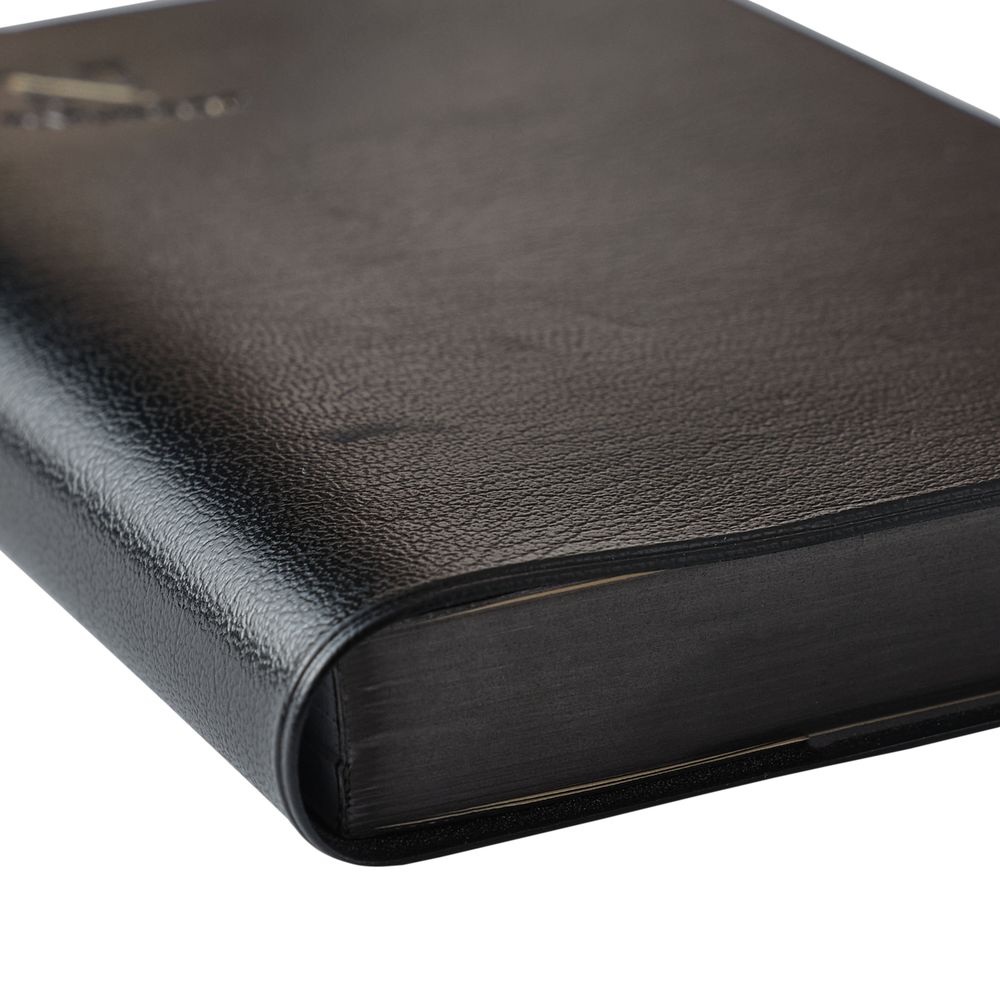 �����Ρ����������NOLTY ǽΨ��Ģ�ǥ��꡼�֥å������դʤ���[NTBND1230,NTBND1231.NTBND1232,NTBND1233,NTBND1234][M�� 18/26]