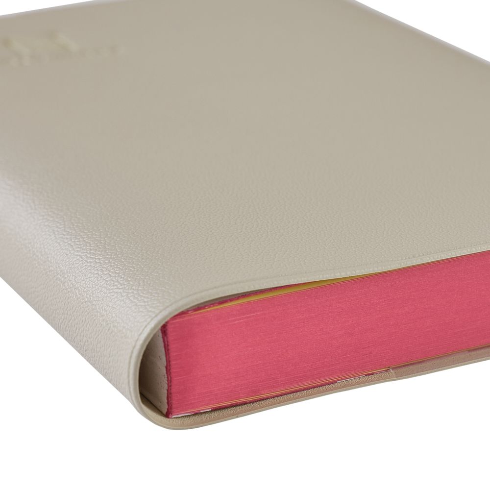 �����Ρ����������NOLTY ǽΨ��Ģ�ǥ��꡼�֥å������դʤ���[NTBND1230,NTBND1231.NTBND1232,NTBND1233,NTBND1234][M�� 18/26]