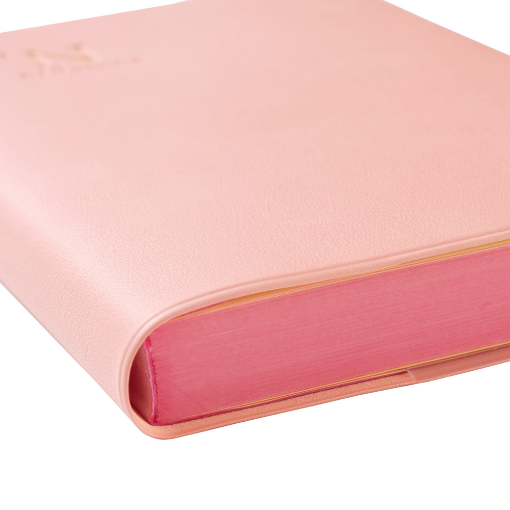 �����Ρ����������NOLTY ǽΨ��Ģ�ǥ��꡼�֥å������դʤ���[NTBND1230,NTBND1231.NTBND1232,NTBND1233,NTBND1234][M�� 18/26]