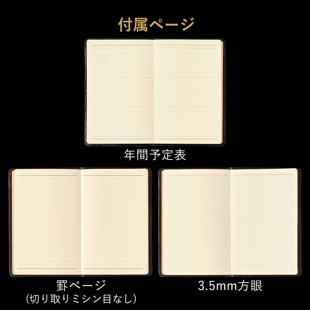 ľ��Ź���ꡡ NOLTY(�Υ�ƥ�) ǽΨ��Ģ������ɥ����������꡼���դʤ�(��)[3122][M�� 20/26]