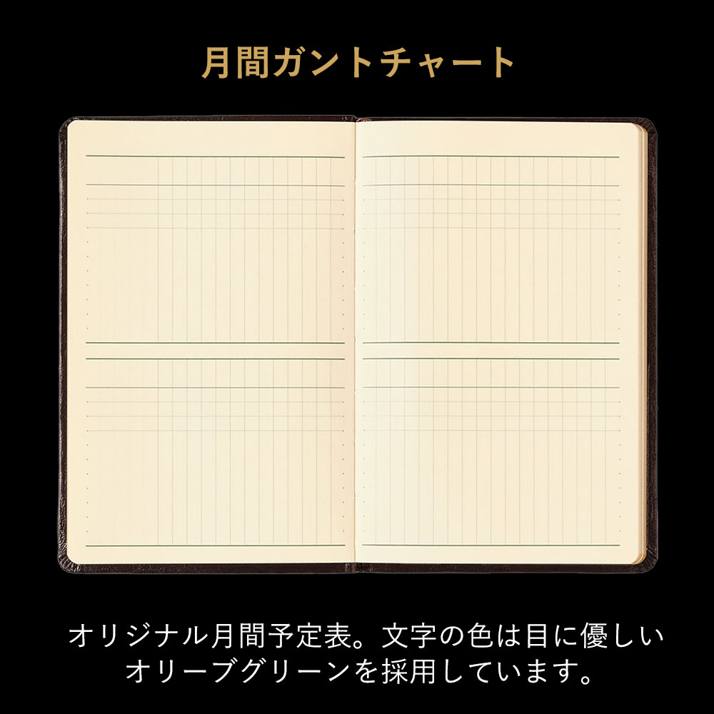 ľ��Ź���ꡡ NOLTY(�Υ�ƥ�) ǽΨ��Ģ������ɥ����������꡼���դʤ�(��)[3122][M�� 20/26]