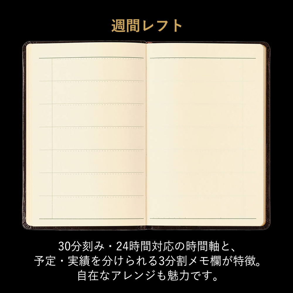 ľ��Ź���ꡡ NOLTY(�Υ�ƥ�) ǽΨ��Ģ������ɥ����������꡼���դʤ�(��)[3122][M�� 20/26]