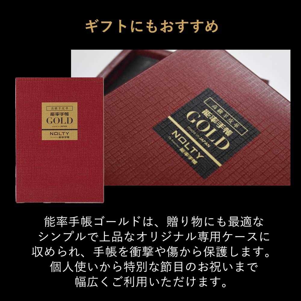 ľ��Ź���ꡡ NOLTY(�Υ�ƥ�) ǽΨ��Ģ������ɥ����������꡼���դʤ�(��)[3122][M�� 20/26]