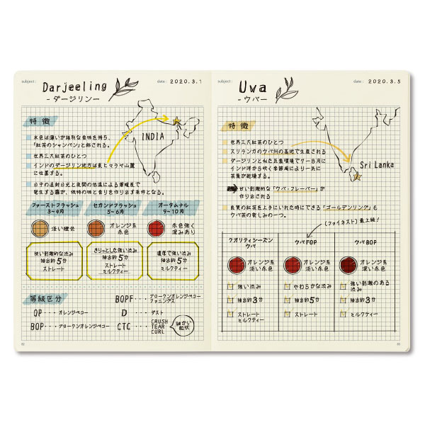 NOLTY Ρ A5 (֥å,졼,,,ԥ,졼,ͥӡ)[NTBNT1201,NTBNT1202,NTBNT1203,NTBNT1204,NTBNT1205,NTBNT1206,NTBNT1207][M 9/26]UN