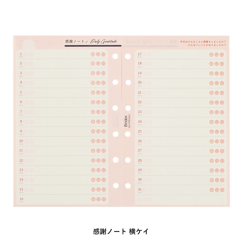 システム手帳用リフィル ミニ6サイズ (レコーディングメモ