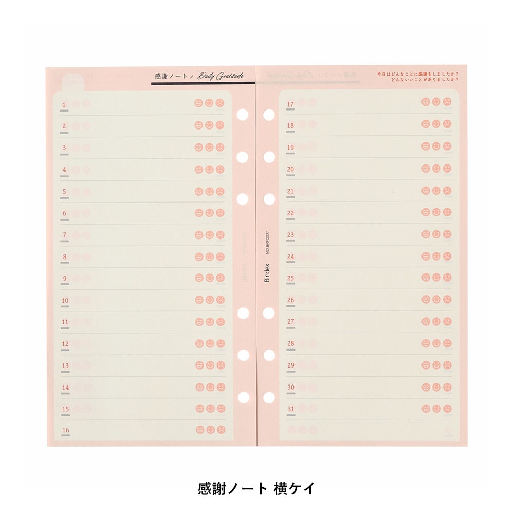 システム手帳用リフィル バイブルサイズ (レコーディングメモ,ホビー