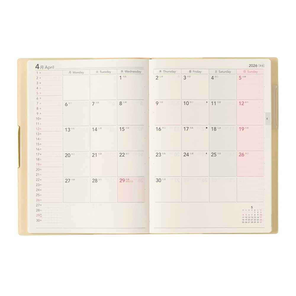 2026ǯ1��Ϥޤ��Ģ ���������꡼ NOLTY(�Υ�ƥ�) ������У����£��ݣ�(�ѥ�������������,�������֥롼)[2316,2317][M�� 14/26]