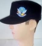 JASDFå ֥롼ѥ륹󥷥 ͥӡ