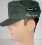 JASDFå ֥롼ѥ륹T-4 ϣ