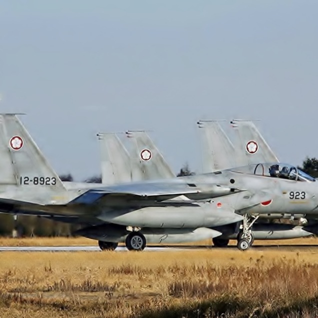 ĸ 305 F-15 EAGLE š ӥѥå