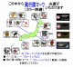 �Ҷ������� ����͡��ॿ���ѥå� ��ե륻�åȡ�  ���ꥸ�ʥ�̾���������ޡ�������  �٥륯���ù�̵�� ˥���դ�������