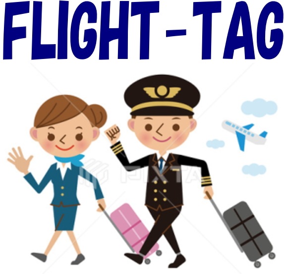 �ե饤�ȥ����������ۥ���� �ģ��Σǣţ�