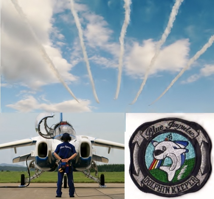 �֥롼����ѥ륹 �ɥ�ե��󥭡��ѡ� �ѥå�