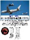 ���ݴ�����3͢���Ҷ��⡡����������ˣ�-������ �ڥ������� �ѥå�