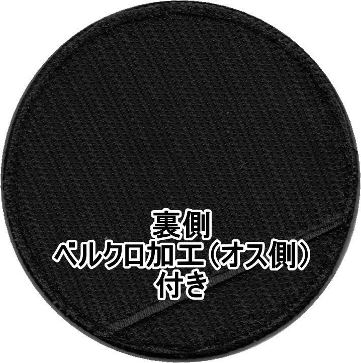 ��� ��203������ F-15DR ���������ѥå� �����ӥ�